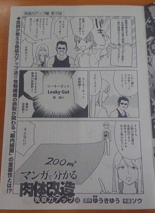 マンガで分かる肉体改造 を含むマンガ一覧 リツイート順 ツイコミ 仮