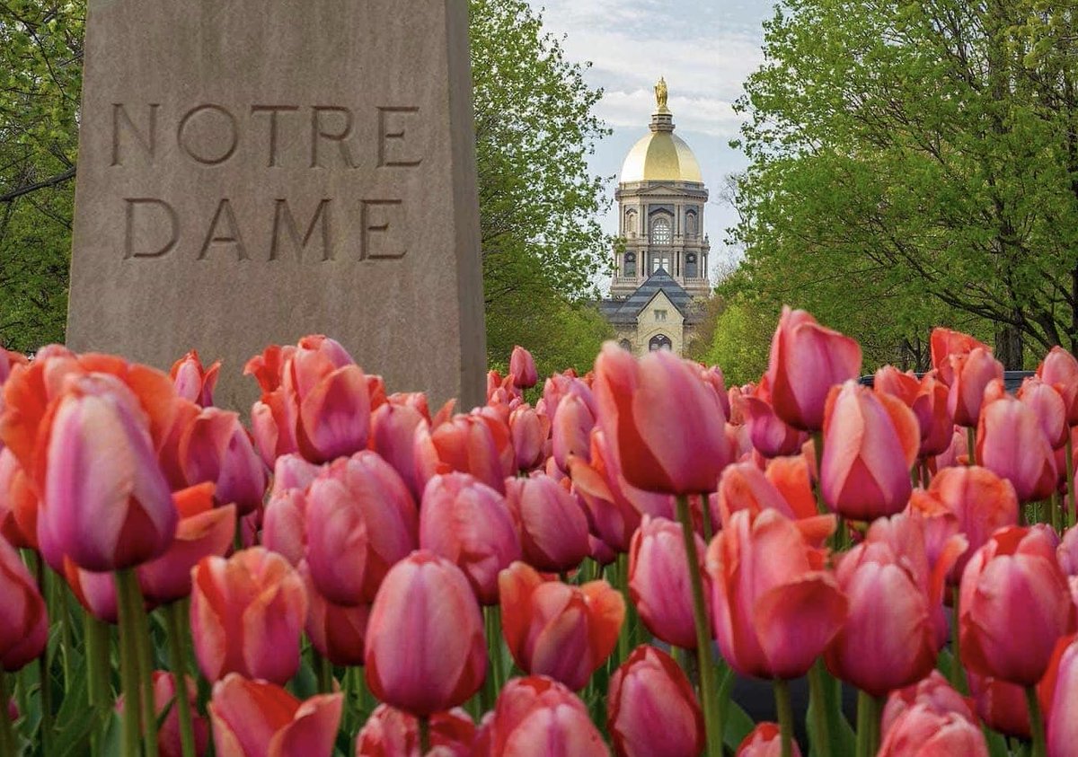 Amazing Colleges tweet media