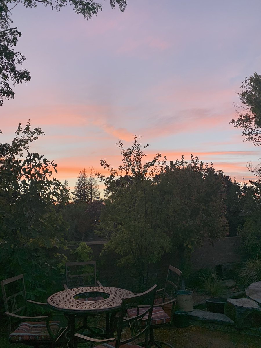 MattyPRN's tweet photo. @SutroTVTower @MarkTamayoKTVU Thank you for all your work during these crazy weather patterns.   Have a good and safe night.  Just a calming view from Pleasant Hill. https://t.co/xlRfOtFJrE