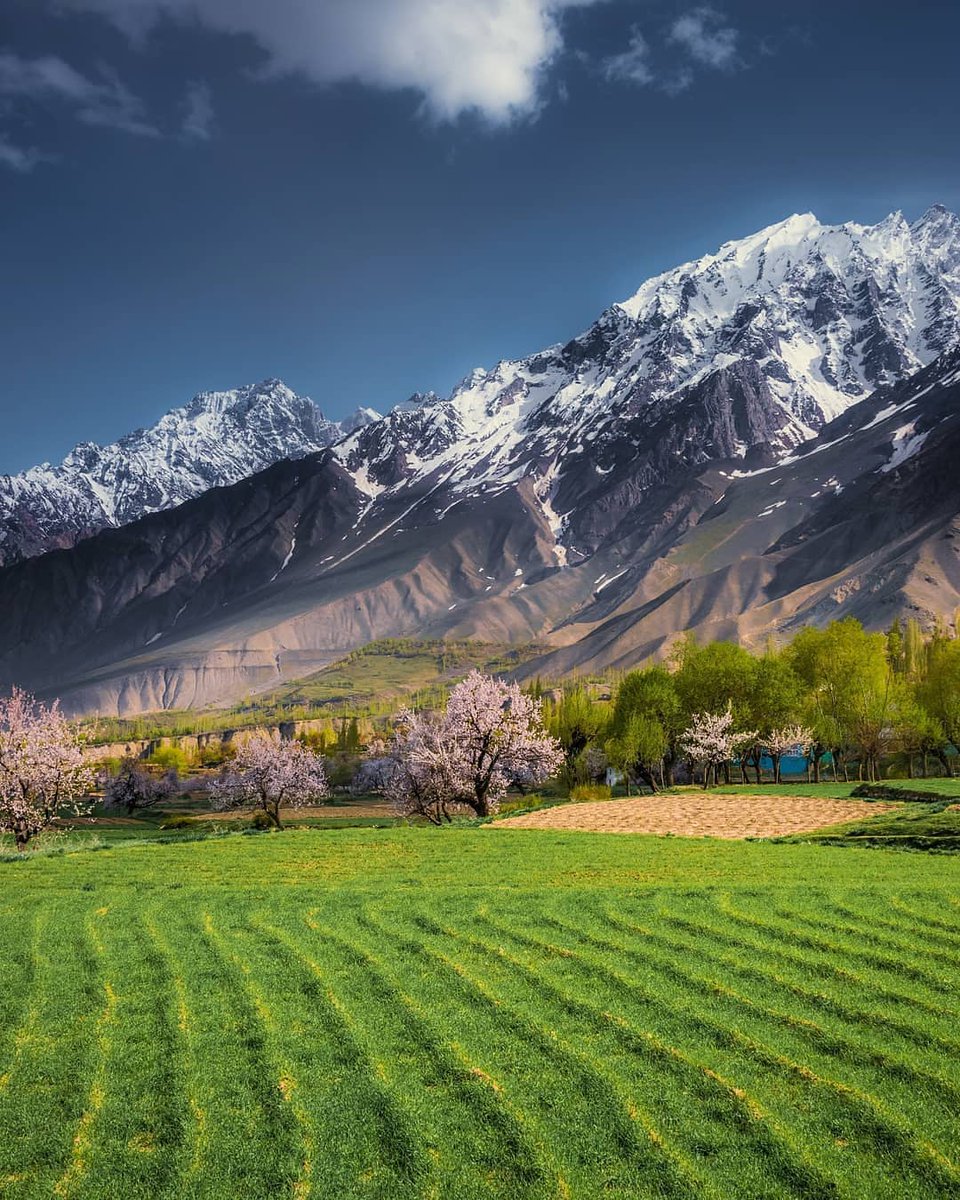 TravelPakistan_'s tweet photo. Chunda Valley-Skardu 🇵🇰

📸 : Abrar Khwaja https://t.co/uacPeIyXsz