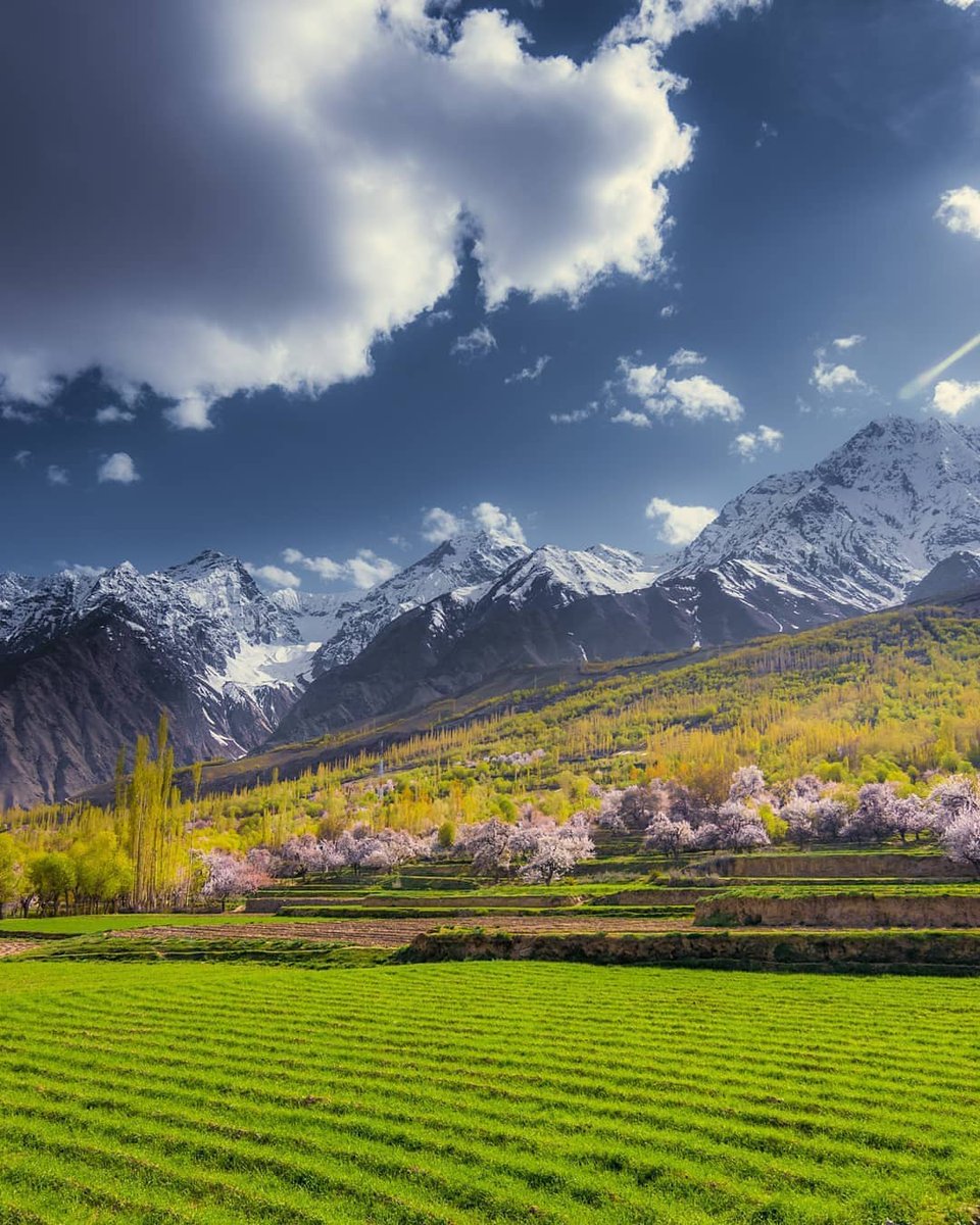 TravelPakistan_'s tweet photo. Chunda Valley-Skardu 🇵🇰

📸 : Abrar Khwaja https://t.co/uacPeIyXsz