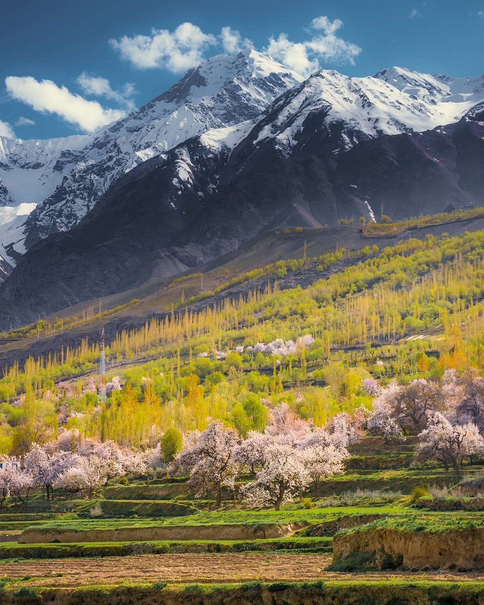 TravelPakistan_'s tweet photo. Chunda Valley-Skardu 🇵🇰

📸 : Abrar Khwaja https://t.co/uacPeIyXsz