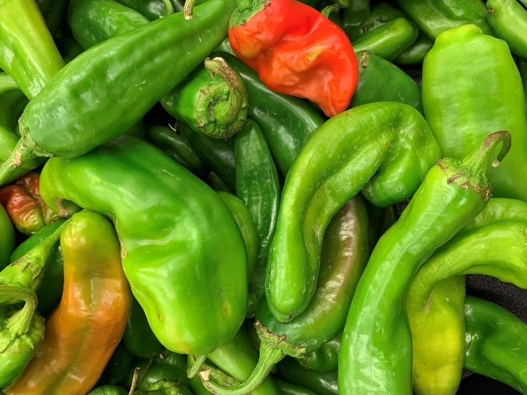 bosquechilefest's tweet photo. Thank you for joining us for the 2020 Virtual Bosque Chile Festival! Mark your calendar to join us next year - third weekend in August!
Watch the entire weekend celebration:
https://t.co/kMreTjclWn
#NewMexico #BCF2020 #greenchile https://t.co/s3bkfJRbXW