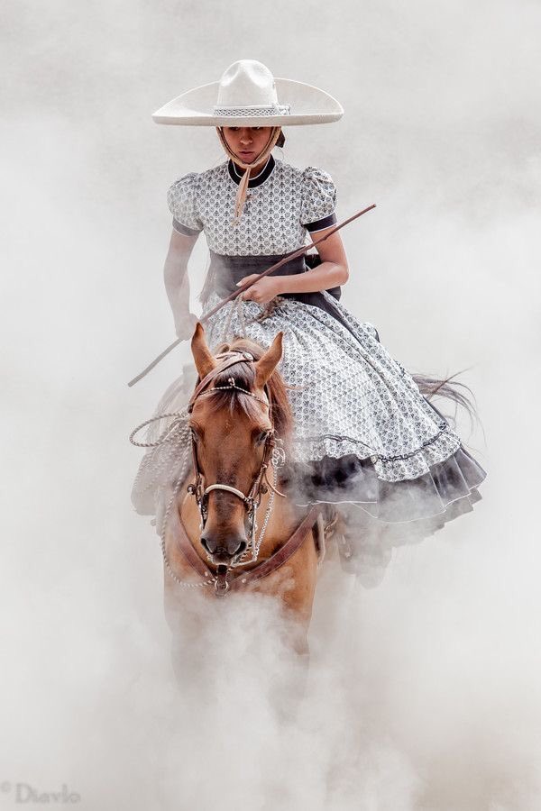 美しいドレス着て美しい馬に乗ってかっこよく走るメキシコの伝統馬術競技 チャレアーダ Togetter