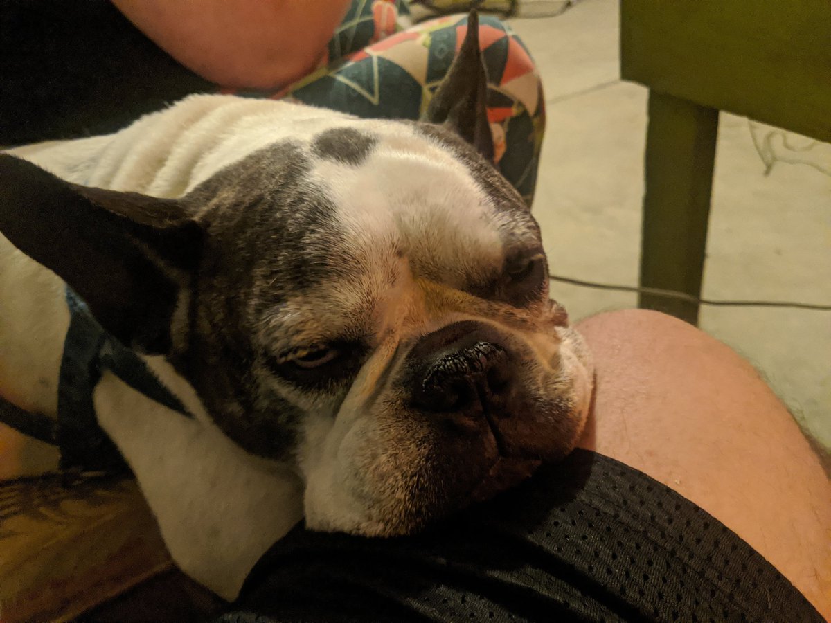FrenchieSlider's tweet photo. Good night dad! @_TeeRay https://t.co/UxUqxPnxFi