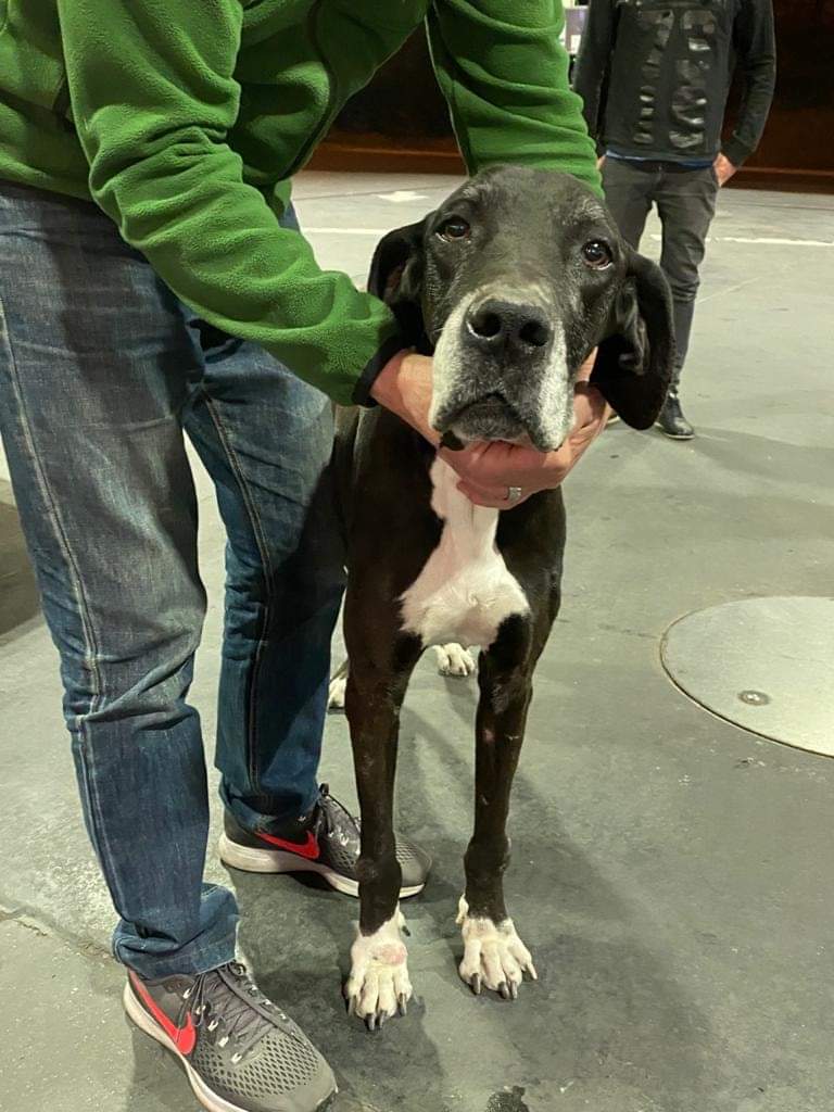 ITUZAINGO: Esta ahí hace una hora, y si nadie le da un lugar la dejan ahi
Está en la estación de servicio shell de acceso oeste Colectora y Martín fierro
Antonela 1138310203