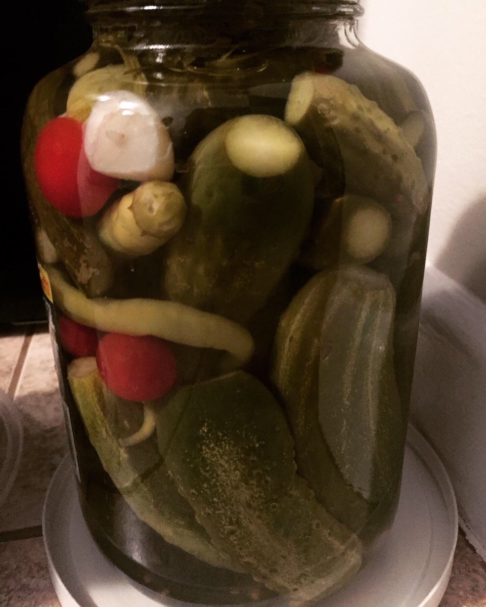 FoodThatBeets's tweet photo. Organic #cucumbers turned #pickles 🥒🥰

Made with our garden fresh #garlic, #cucumbers and #peppers!
#OrganicFood #OrganicGarden #freshvegetables #freshfood #healthyfood #homemadefood #vegetablegarden #northyork #toronto #vaughan #kleinburg #nobleton #bolton #caledon #woodbridge https://t.co/ZWqKjto8L3