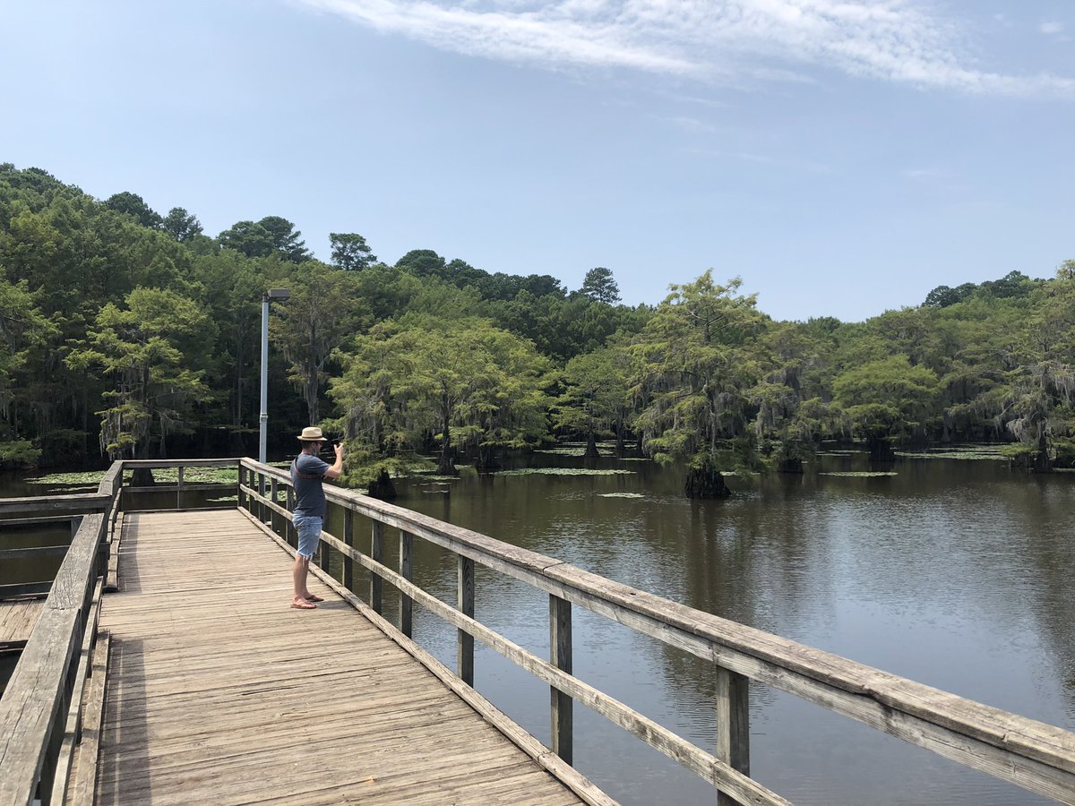 DallasWeekender's tweet photo. Caddo State Park #dallaswkndr #DallasWeekender #igtexas #traveltexas #WeekendTrips #texas #travelgram #journals #adventures #writing #vacation #roadtrips #travel #wanderlust #dtx #urbanexploration
#photography #swamp #caddolake https://t.co/pKMVaXmYMq