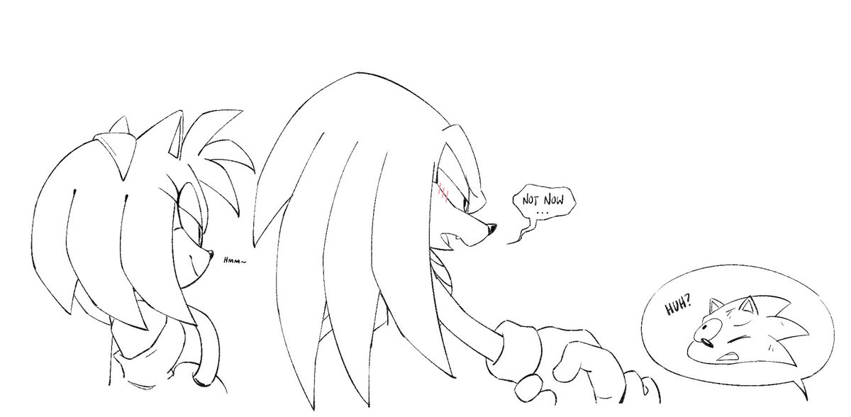 a short essay on the similarities between amy and knuckles: feral, prone to bickering, compassionate, in love with sonic.