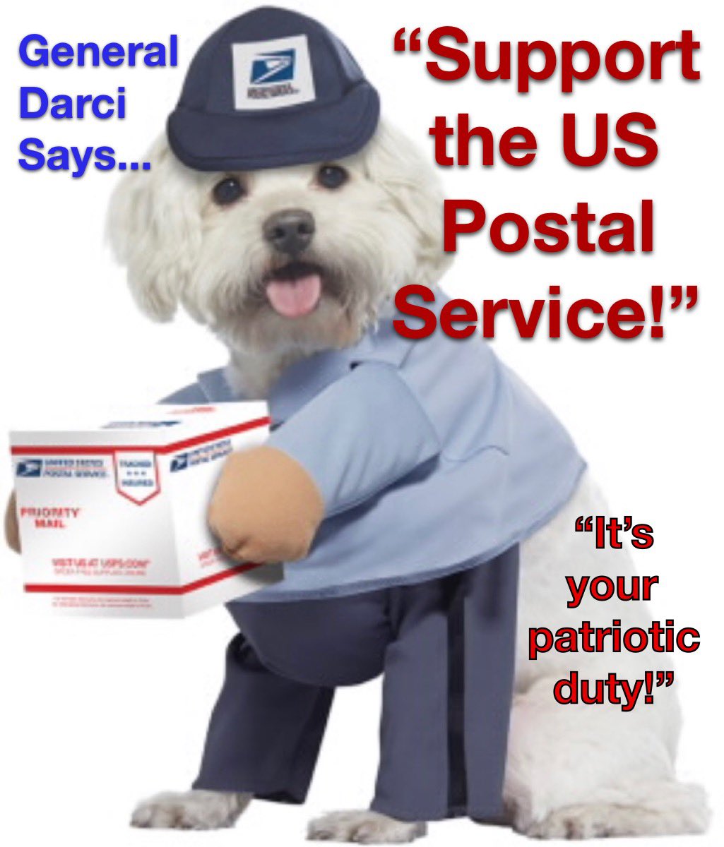 GeneralDarci's tweet photo. A Call to Action!

#inspirationaldogs #dogsoftwitter #dogs #dogsarelove #books #wwii #worldwarii #worldwar2 #alternativehistory #generaldarci #dogbooks #covid19 #coronavirus #StopThePanic #stoptheinsanity #usps #patrioticdogs https://t.co/sMZvFLdPE7