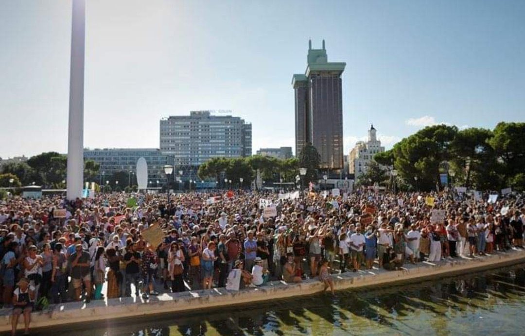 aorrantiah's tweet photo. La nueva (a)normalidad. Madrid. Plaza de Colón. Domingo 16 de agosto.👇🏻 https://t.co/mgK91RtOMi
