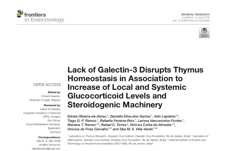 InctNim's tweet photo. Research article: Lack of Galectin-3 Disrupts #Thymus Homeostasis in Association to Increase of Local and Systemic #Glucocorticoid Levels and #SteroidogenicMachinery. | @Vfrias_INCTNIM | via @FrontEndocrinol
#Galectin3 #Thymocytes #Proliferation #CellDeath
https://t.co/g28JQLHMLA https://t.co/9rlllAhopx