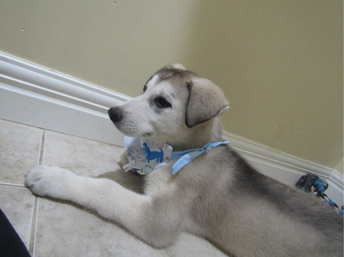 Joseph Anderson tweet media