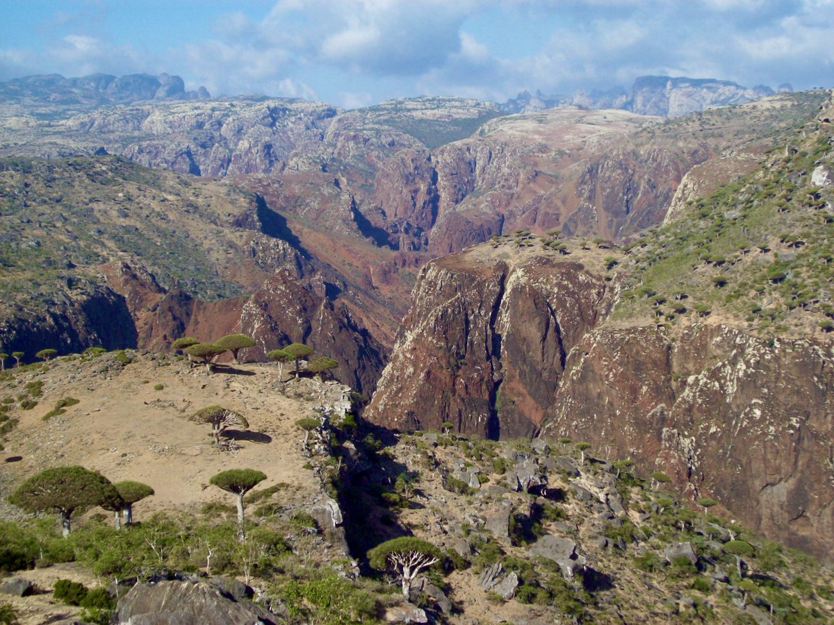 hannaheporter's tweet photo. On my first trip to Yemen years ago, I had a stopover in Dubai. I met an Emirati man at a club and I told him I was heading to Yemen the next day. He asked me "Why would you go there? What is there to see in Yemen?" 

This is some of what I saw, and it's stayed with me ever since https://t.co/HnSVgztmAg
