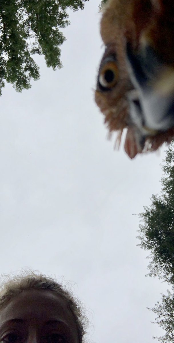 We’re looking forward to all the leaders we will get to meet this 20-21 school year! I’m so egg-cited to be back with #TeamKidsFirst 🐣👩🏼‍🏫