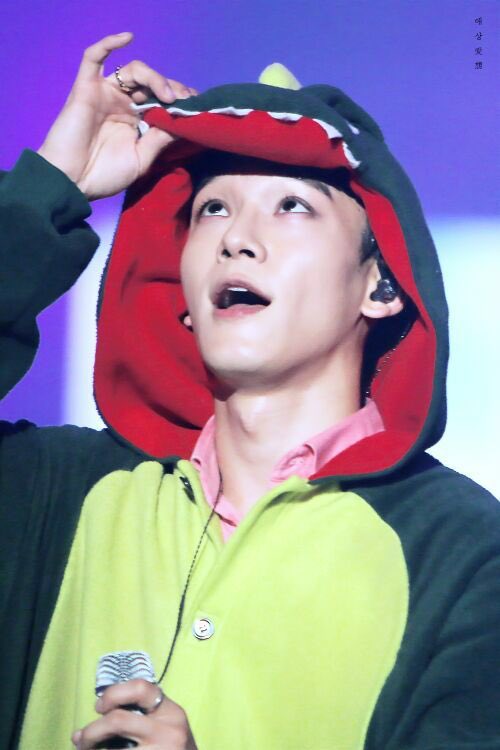 - Jongdae the dinosaur 