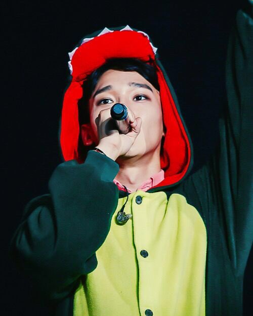 - Jongdae the dinosaur 