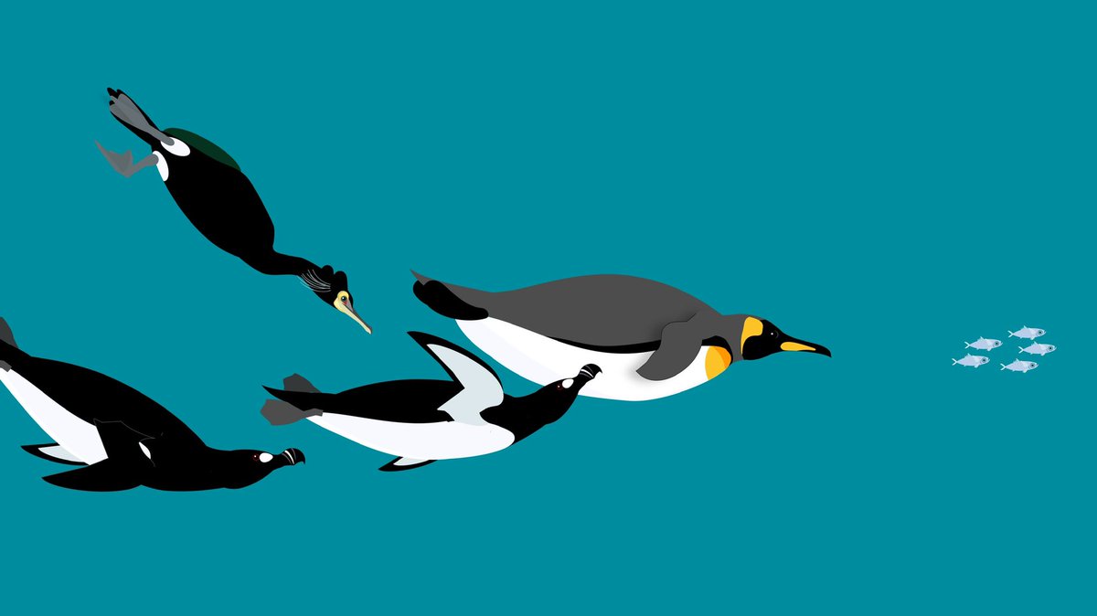 Safe travels home from #naoc2020 ! #ornithology .  Use the code “naoczoom!2020” for 15% off your loot! <a href="/AmOrnith/">American Ornithological Society</a> <a href="/WilsonOrnithSoc/">Wilson Ornith Soc</a> <a href="/FieldOrnith/">Association of Field Ornithologists</a> #birds #auk #condor