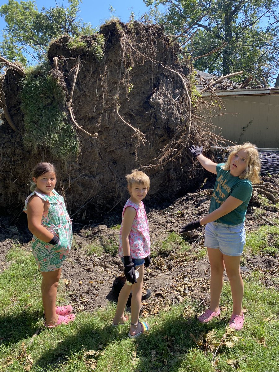 jennielk's tweet photo. Cleanup at my cousin’s in #newtonIowa from #derecho. If you haven’t been to Newton since the storm, I’m telling you it is INSANE. The entire town is covered in trees and debris. https://t.co/OSBju9ni2e