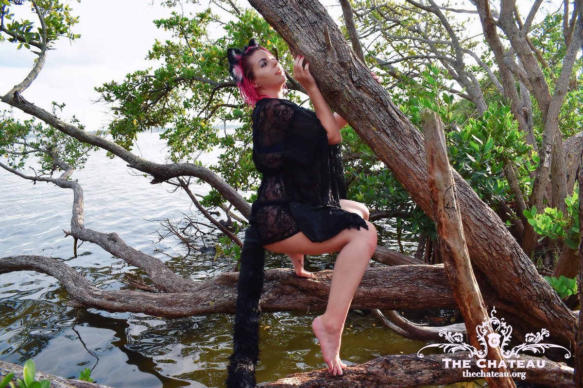 ToxSuki's tweet photo. Be sure to check out my set called "Kitten On The Shore" on @CatGirlManor =^_^=! Follow the link bellow to sign up &amp; see my set!

https://t.co/4rOHkomFaN

#toxsuki #thechateau #catgirls #neko #nekogirl #kittenlifestyle #kittenplay #beachgirls #beach #photography #kitten https://t.co/5jNeXcUFpn