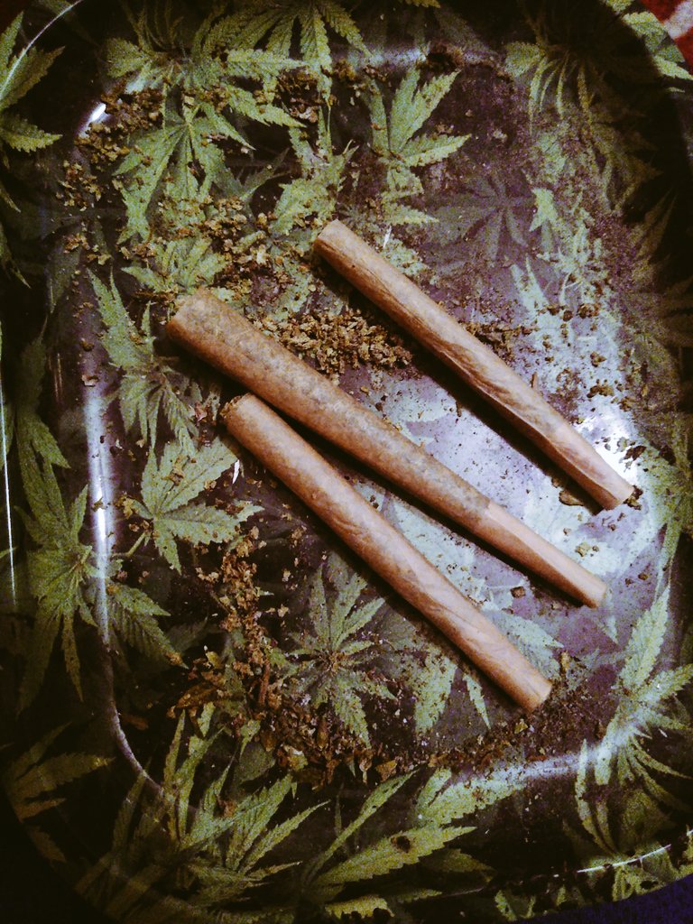 stonerman08's tweet photo. I smoke three joints before I smoke three joints and then I smoke three more 😁
#Mmemberville https://t.co/50eMfjWWdj