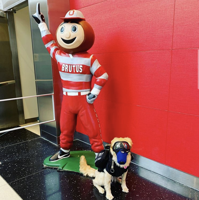 OSUWexMed tweet picture