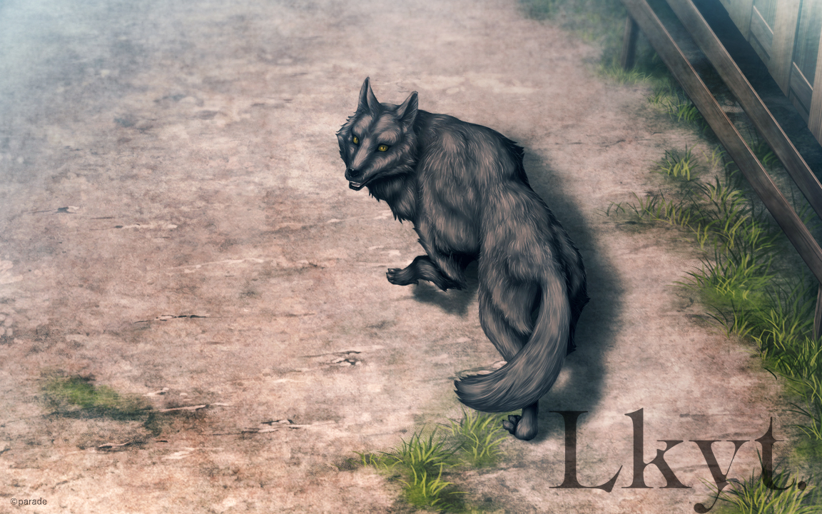 paradeスタッフ tweet media