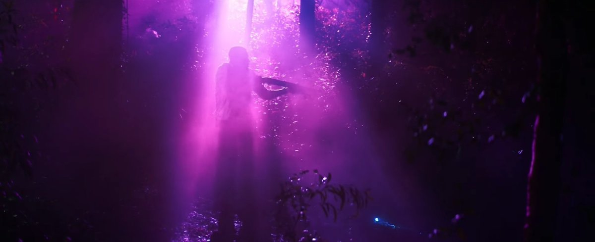 Свет из иных миров лавкрафт. Цвет и их миров. Цвет и их миров. Николас кейдж цвет из иных миров. Код цвета 808080.