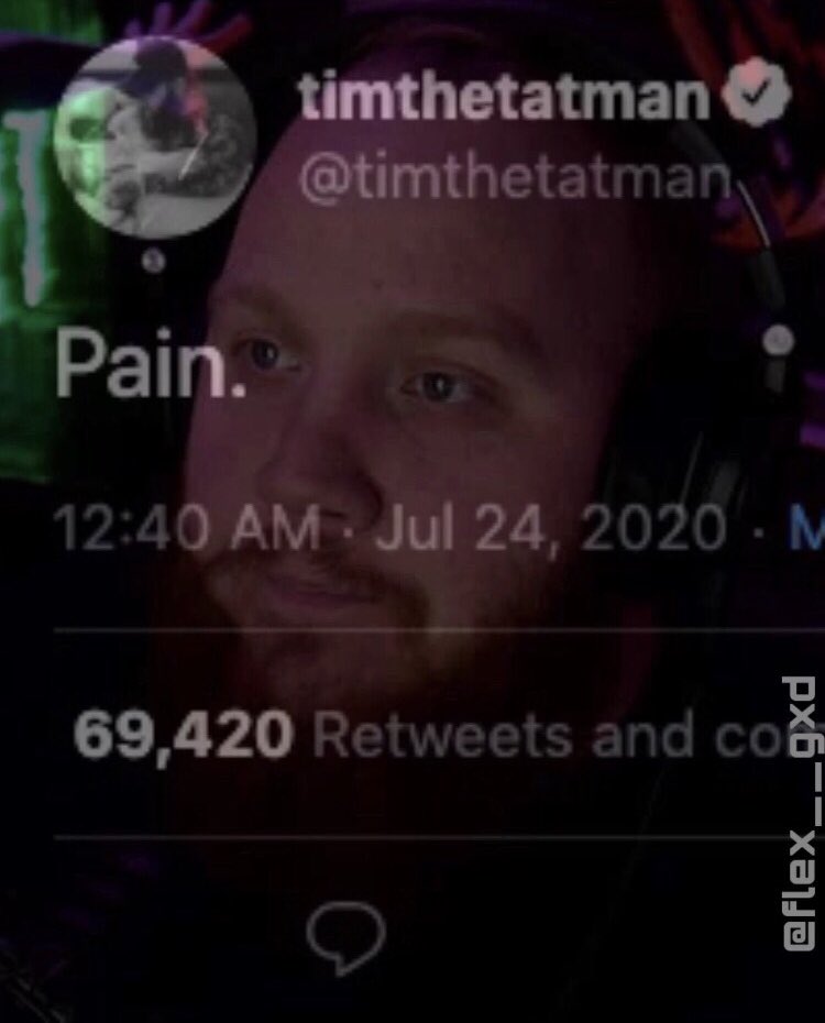 misterweiler's tweet photo. @timthetatman @FallGuysGame https://t.co/u0Z6jMRymY