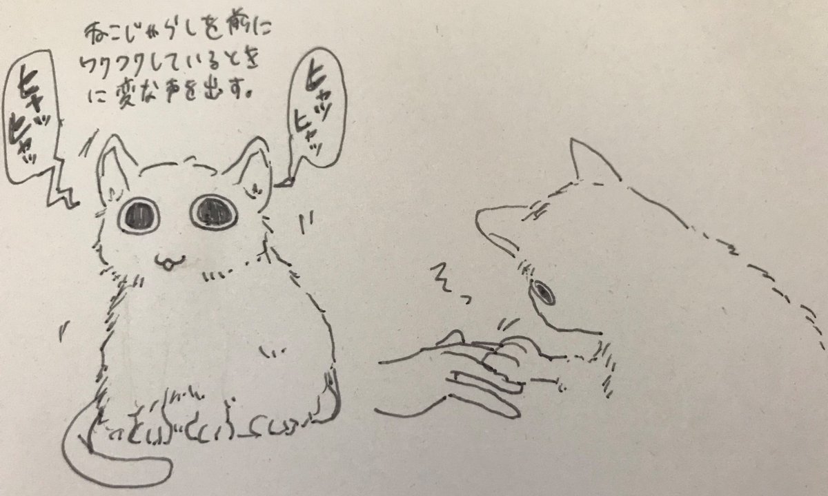 家にいるねこの似顔絵をかいた 