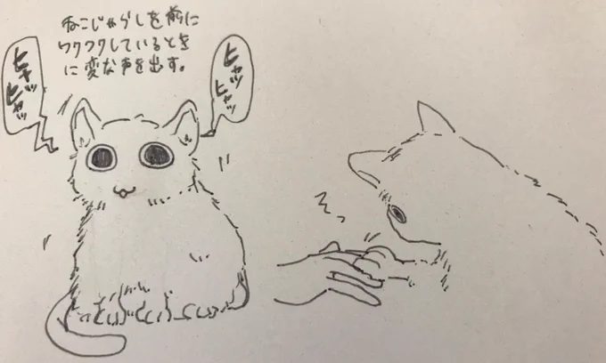 家にいるねこの似顔絵をかいた 