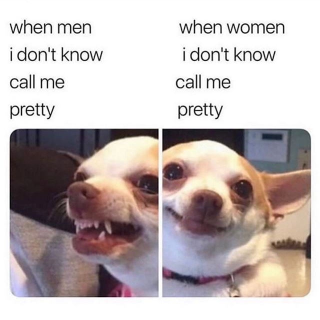 lolwhy_memes's tweet photo. lol 

#funny #lol #truestory https://t.co/MMGVdFQcu2