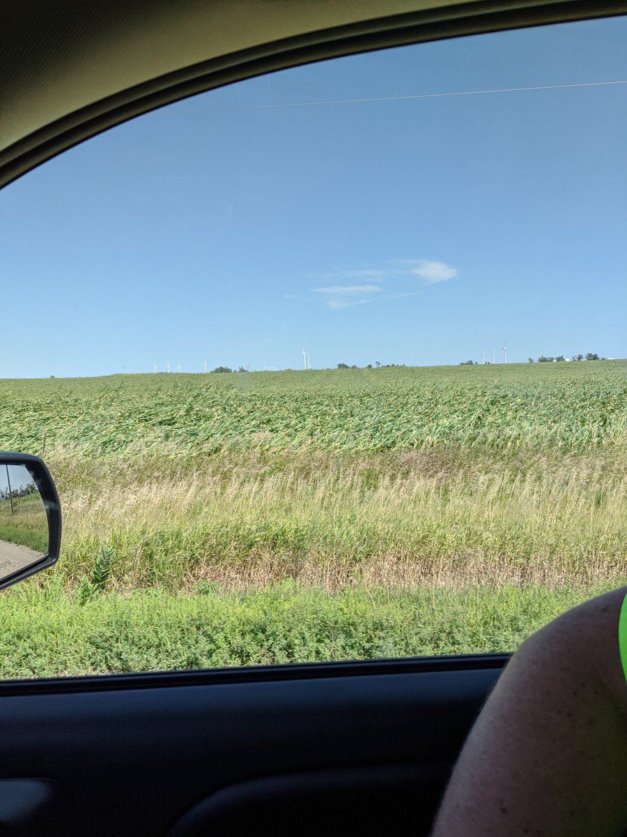IowaCowboy19's tweet photo. @bullishboiler Near Zearing Iowa many fields like this. https://t.co/HD6P0WsmIE