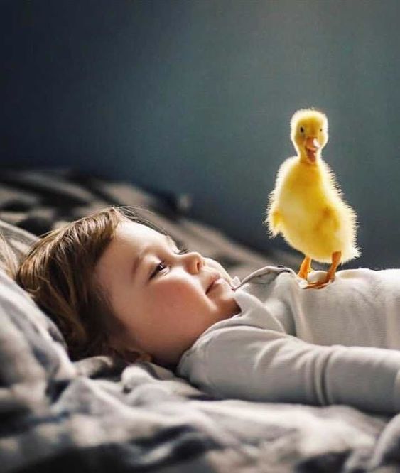 9-Let’s see how Ruby worksRuby can awaken you to the inner reaches of your  #Soul or  #AtmanIf a Ruby suits your  #Planetary configuration – it can bring in the light of  #Sun literally into your life! (9/20) #ज्योतिषीयजटिलताएं