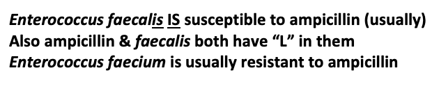 We learned a ton about enterococcus this week, it is a tough bacteria to treat given its limited susceptibilities. Paying attention to the species of enterococcus is really important for empiric treatment!