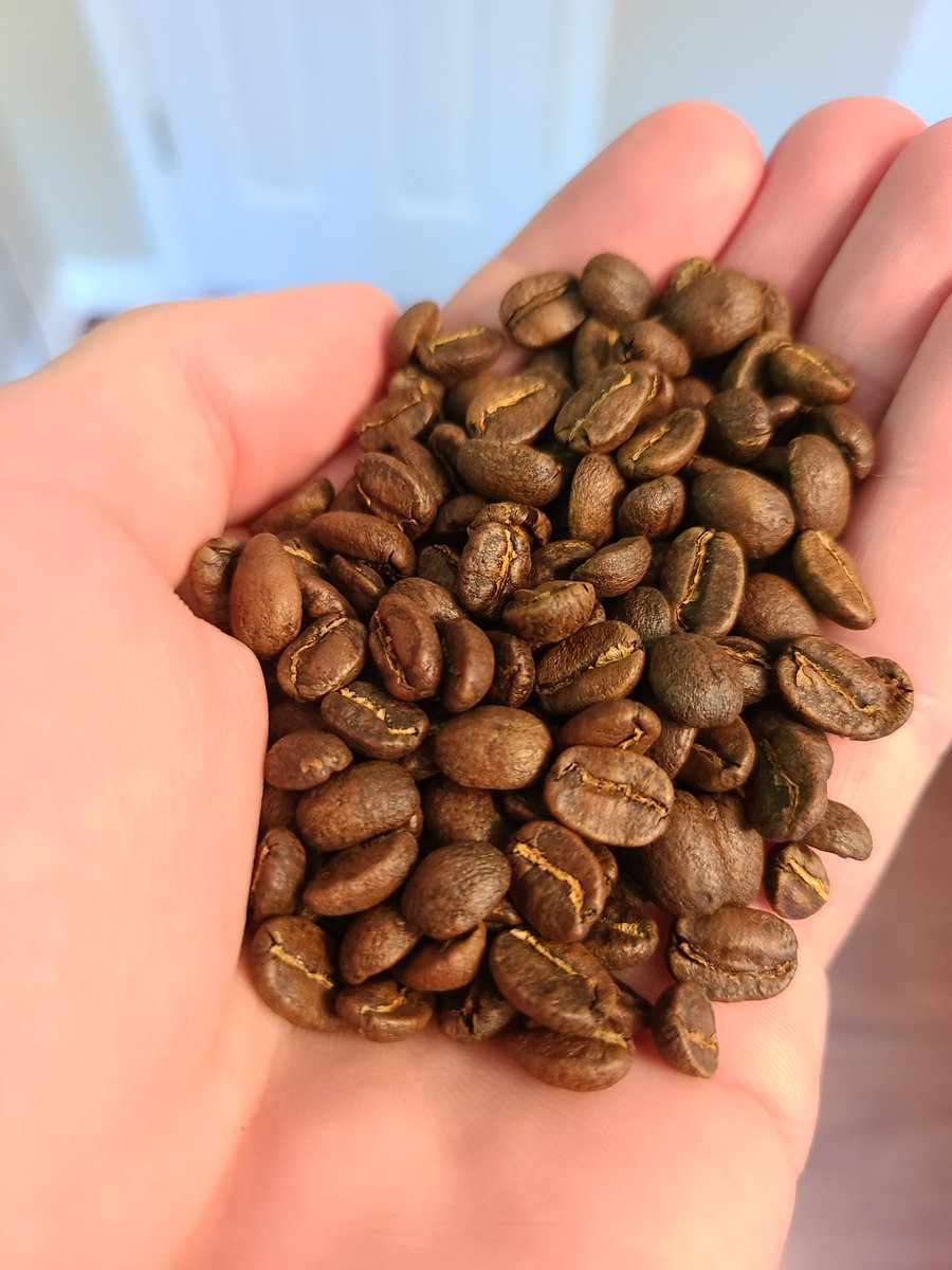 MattsCoffeeTalk's tweet photo. Y'all.   This #Guatemala is delicious, had to roast two batches in a row, one is going to be a cold brew for sure with these chocolate undertones.

#Coffee is such a #beautiful thing 😍
☕☕ https://t.co/ApHGWXYzlR