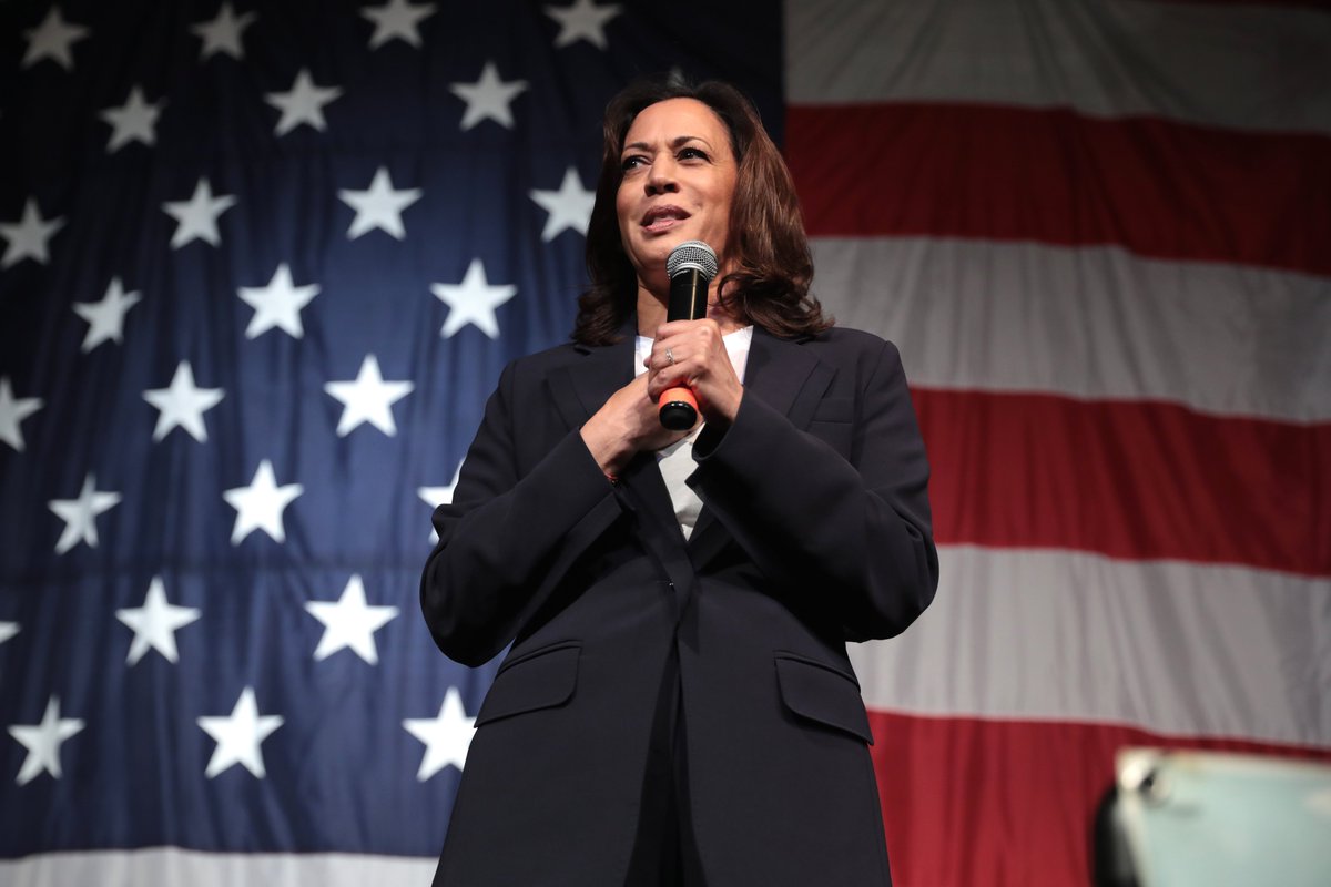 First up we have  @Dr_NMCarter's analysis of the Biden campaign's decision to choose  @KamalaHarris as vice presidential running mate  https://electionwatch.unimelb.edu.au/articles/kamala-harris-the-first-doesnt-have-to-be-the-only-one