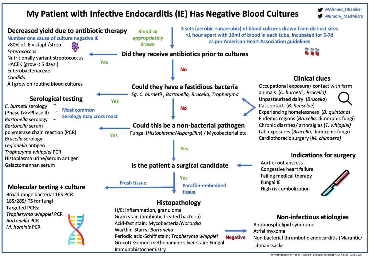 We learned the differential for culture-negative endocarditis & key epidemiological clues. My go-to for this issue is this chart from  @Ahmed_HBabiker &  @Emory_MedMicro