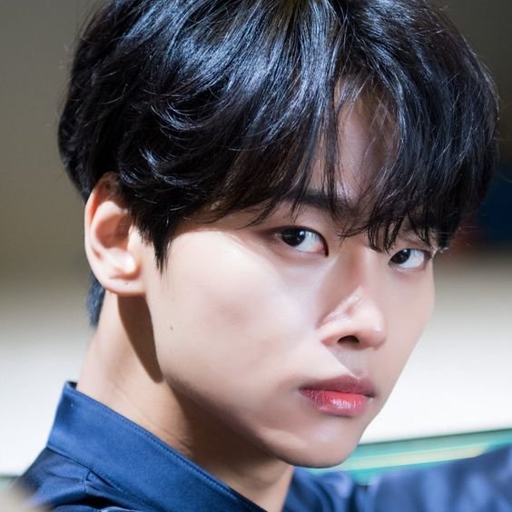study_a_latte's tweet photo. Cha Hakyeon  | God of Medicine and Health | King of Gods | Residence: The Imperial City | Familiar: Peacock https://t.co/g61A4sDWud