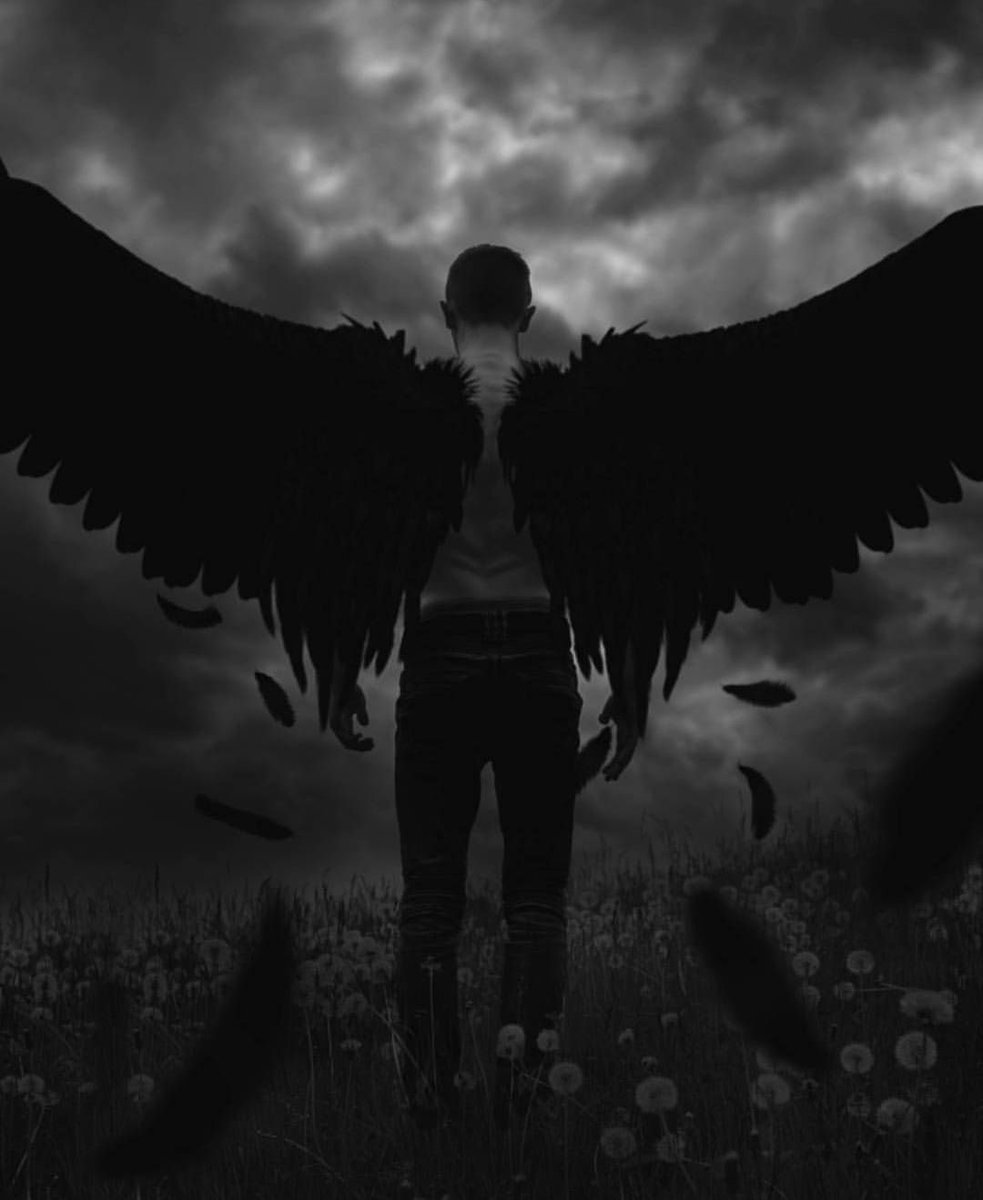 "This journey I'm on leads me down a path away from my brethren, whose war I will never be a part of. I fell from the heavens and landed on earth to escape, just to find myself in the midst of another war."