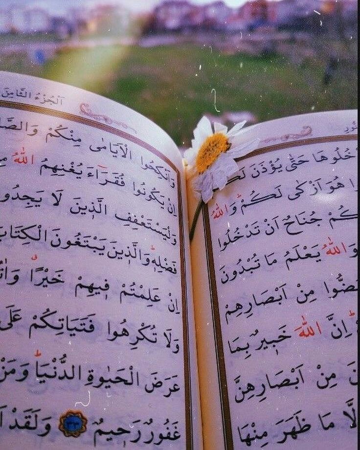 HijabMyModesty's tweet image. Hearts are fragile. Handle them with Qur’an, dhikr, salah, sabr and du'a.
#beautyofheart #Allahlovesyou #Allahmercy #Allahblessings