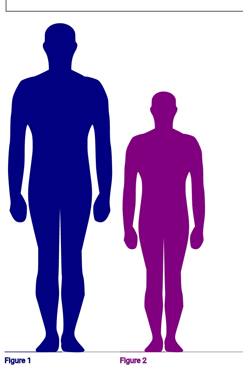 Twitter 上的 鷹媛 この2人 画面越しだと身長に大きな差があるとあまり感じないが 実際は42cmも身長差があるのである マレウス2cm リドル160cm T Co Sbxk2omd3i Twitter