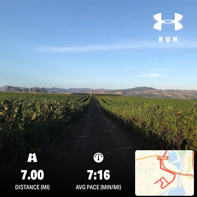 LuisRobledo707's tweet photo. It’s nice feeling that Carneros breeze in this 94° weather. 🏃🏻‍♂️☀️ https://t.co/tOqLt9W6LL