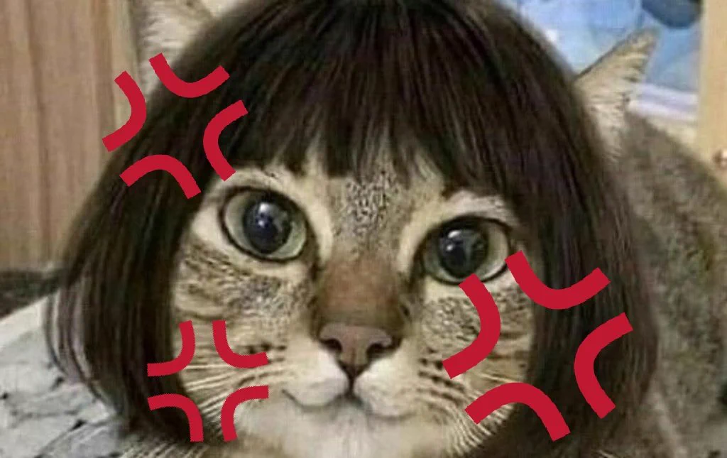 @r2d2c3poacco ねこるりこ『シャーッ💢💢💢💢💢』モード。 