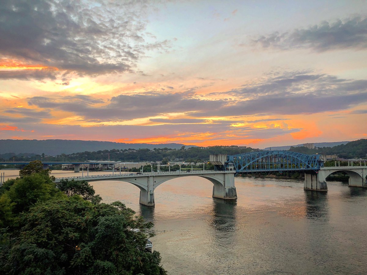 My Scoop tweet media