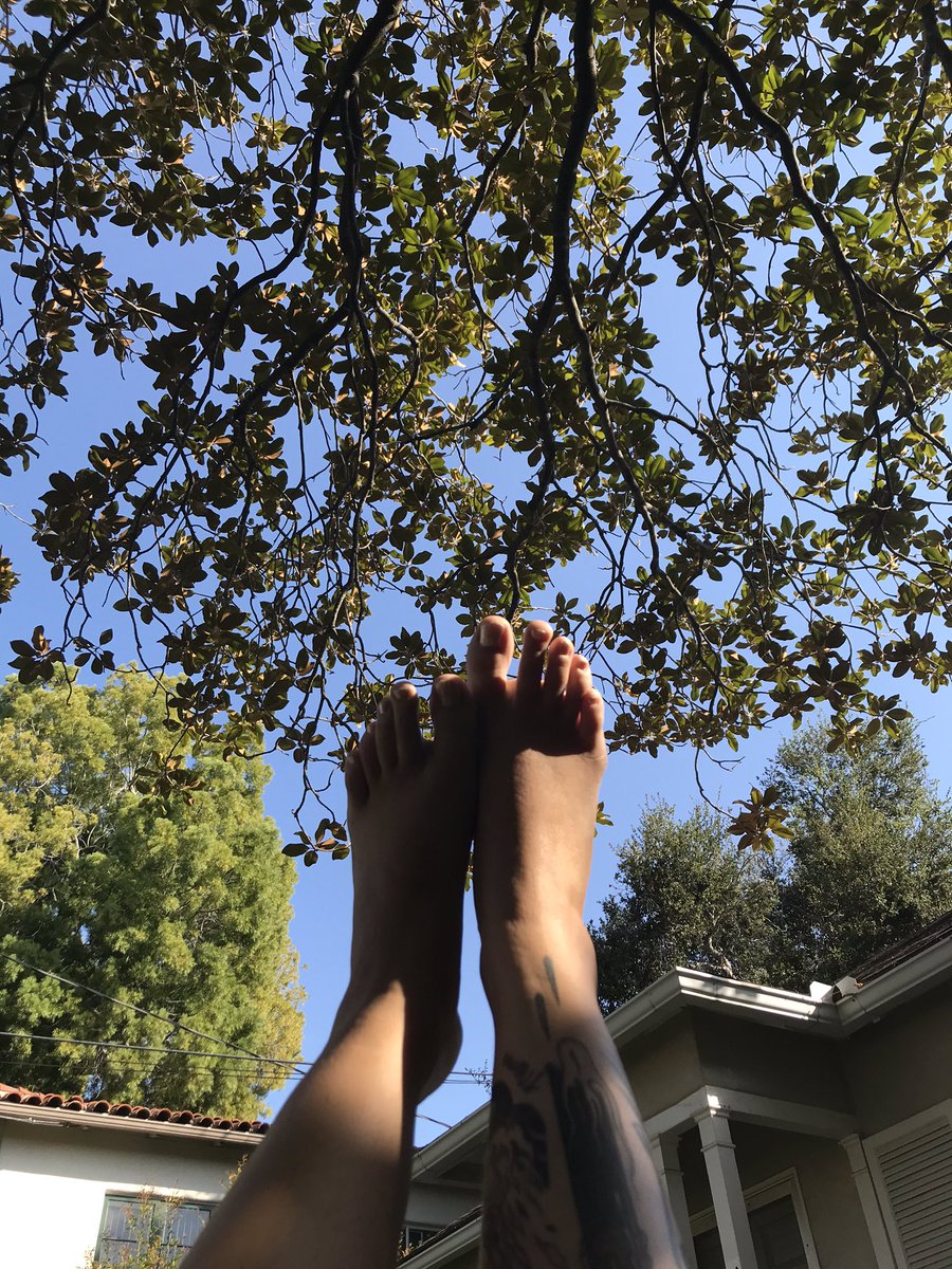 ToesTipped's tweet photo. Skywalker. #toejob #footfetish #footslave #footporn #feetsforsale #footpics #tentoedhoe #tastytoes #cashslave https://t.co/9aDgKkOv0V