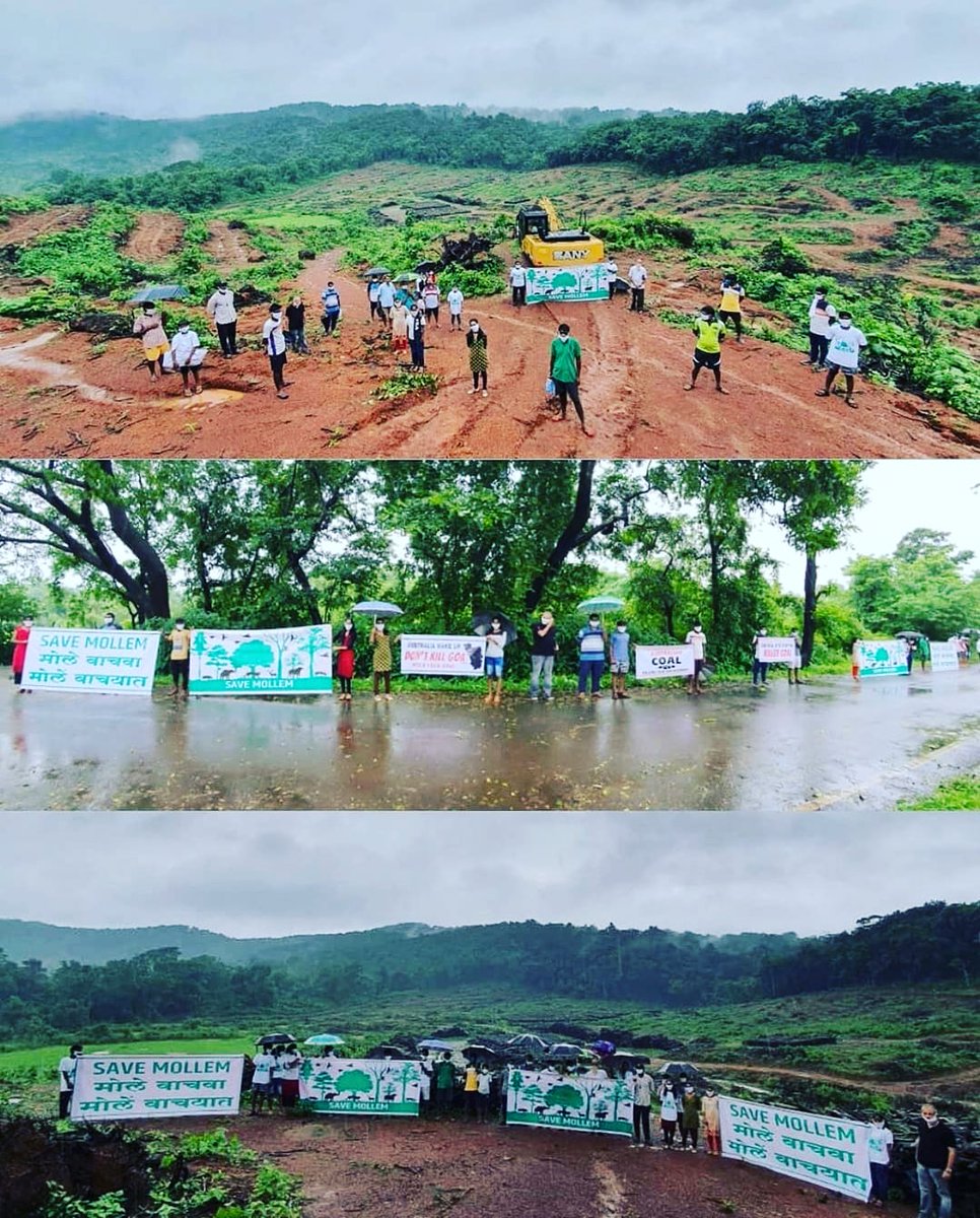 movement_nature's tweet photo. People are protesting here to Mollem National park which is also a UNESCO world heritage site.  Not only home for rare species of plants &amp; animals, its home for various tortribal communities. Government trying to cut about 59,000 trees for various development work in this forest. https://t.co/6tszpwVrUZ
