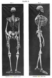120) There is something more to this story... The plates were found with a skeleton that was 9 feet tall.