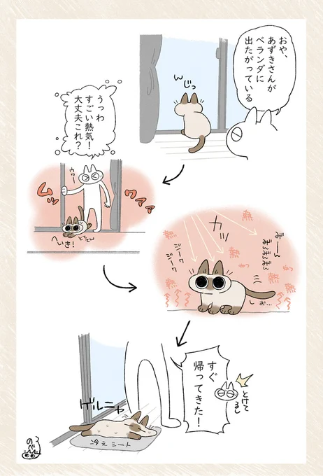 2秒と持たないのであった #シャム猫あずきさんは世界の中心 