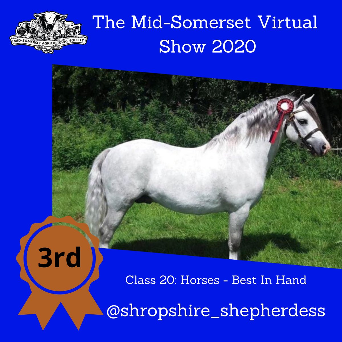 Class 20 🥇🥈🥉 #virtualmidsomshow